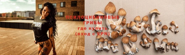 jwh Алзамай