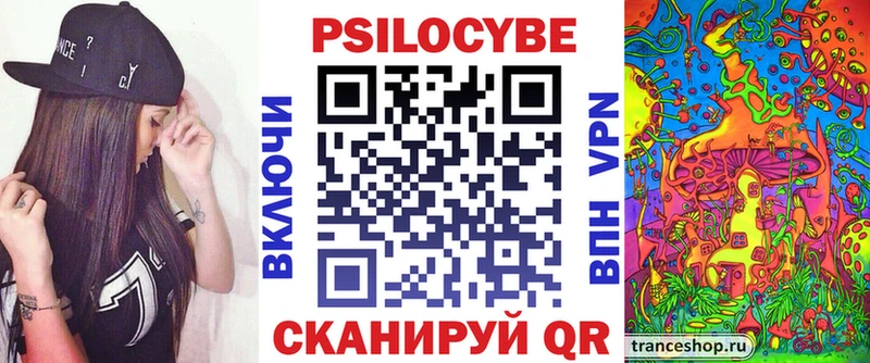 Псилоцибиновые грибы Psilocybe  Купить закладки  Георгиевск 